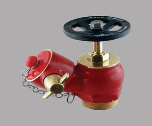 Wall Type with Threaded Inlet Hydrant
